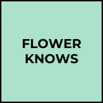 FLOWER KNOWS